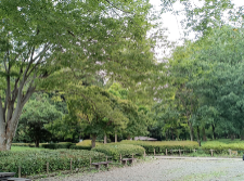 “KEEP TOKYO CLEAN” at Kamanofuchi Park